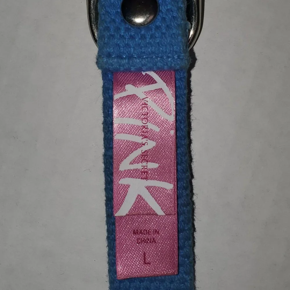 HTF Victoria Secret Pink RARE Dog Collar Vintage 2000's Aqua Blue Sooo Pretty - Picture 5 of 10